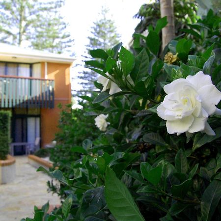 Aparthotel The Crest Byron Bay Extérieur photo