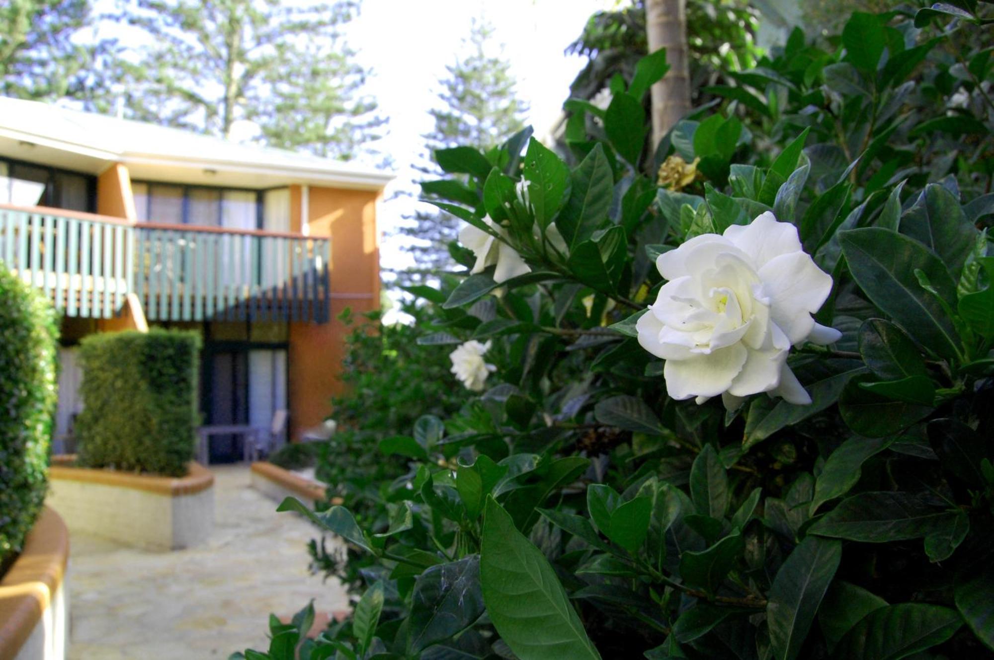 Aparthotel The Crest Byron Bay Extérieur photo